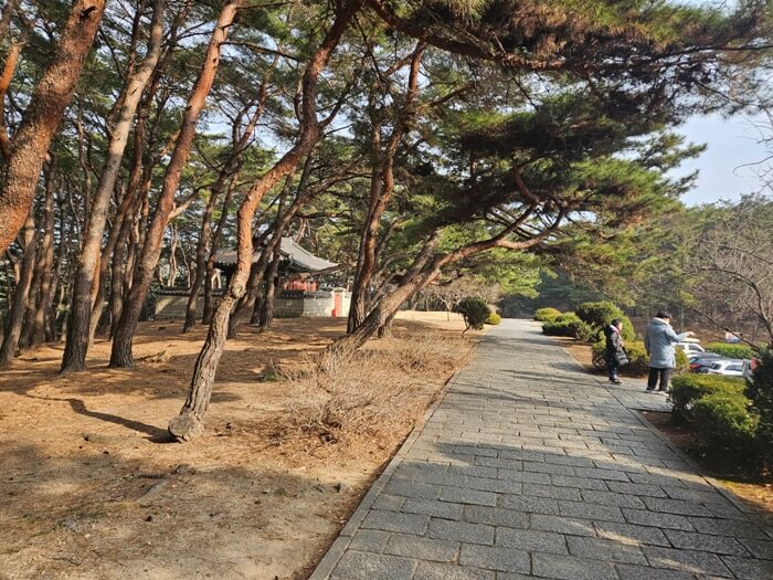 김유신장군묘 산책로