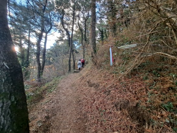 정물 당오름, 오름 그리고 금악오름 41