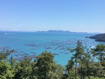 완도 가볼만한곳 베스트10 필수 관광명소 추천_23