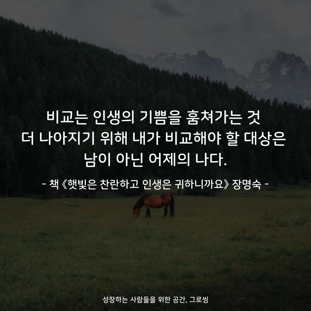 비교는 인생의 기쁨을 훔쳐가는 것
더 나아지기 위해 내가 비교해야 할 대상은
남이 아닌 어제의 나다.