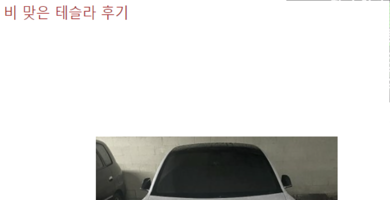  비맞은 테슬라 대참사