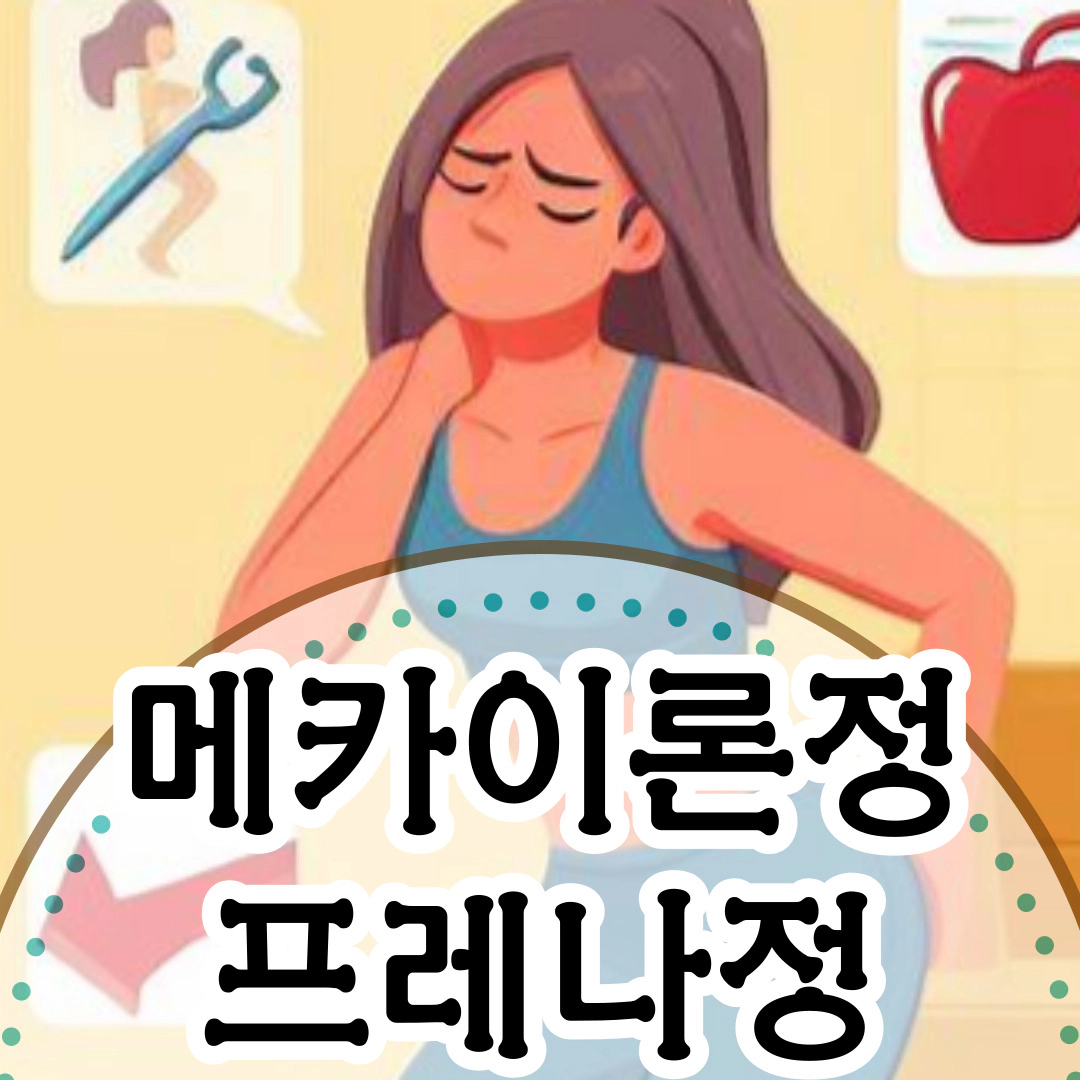 메카이론정-프레나정 효능-부작용[메틸 프레드니졸론]