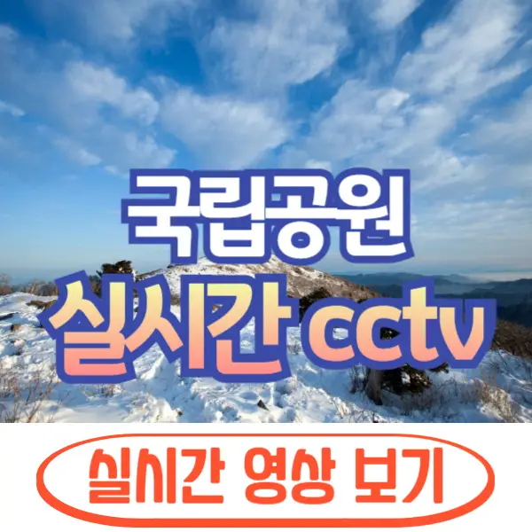 국립공원 실시간 cctv