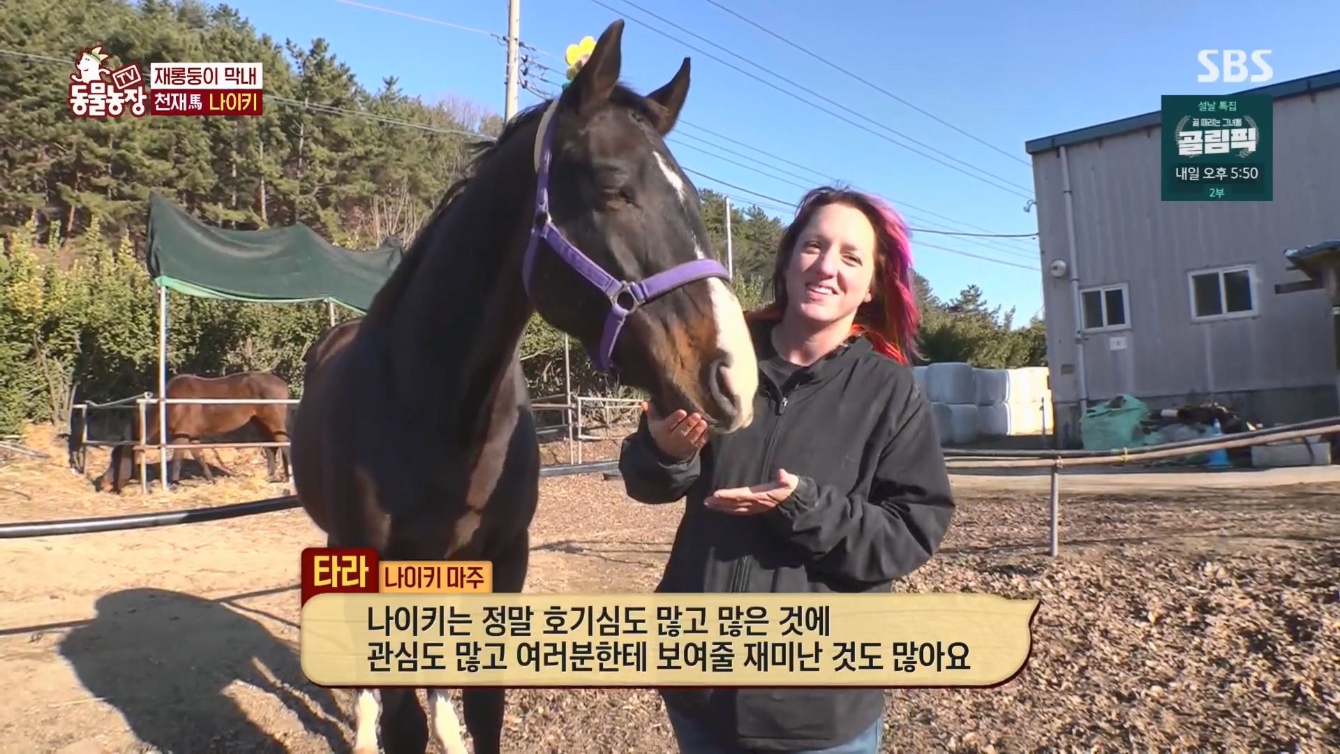 TV 동물농장.E1158.240211p.H264-F1RST.mp4_20240211_192117.833.jpg