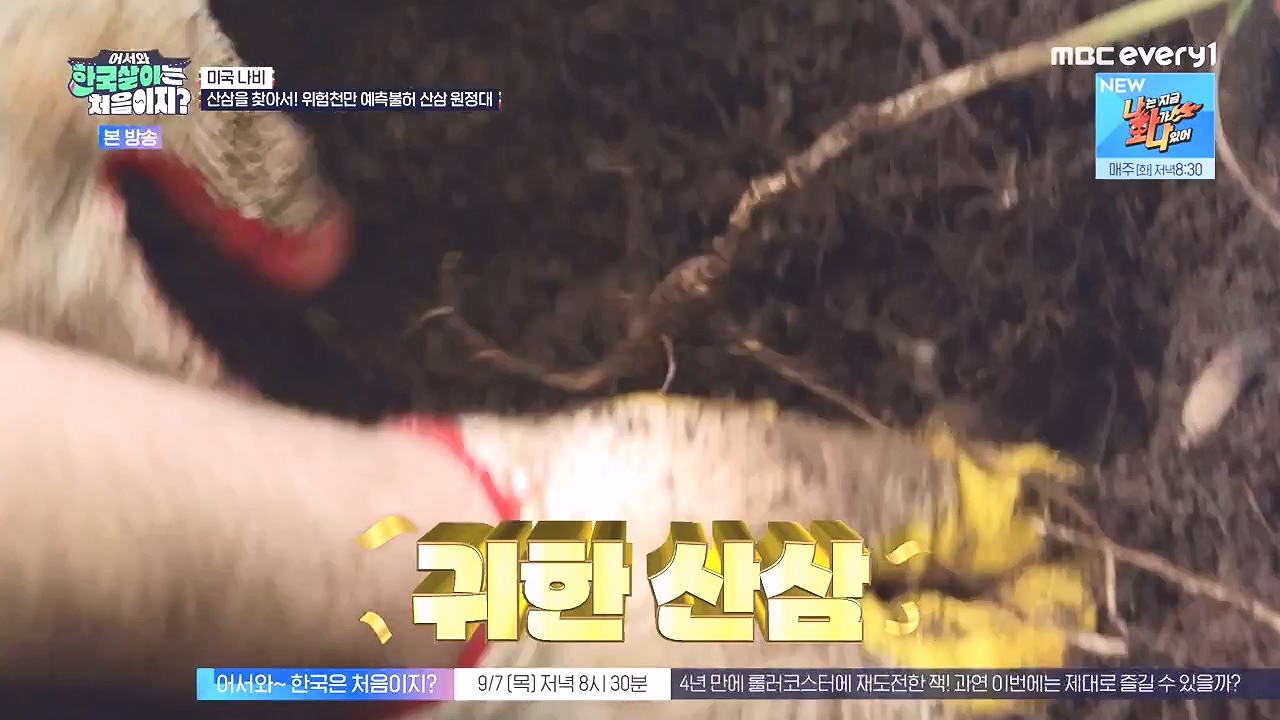 어서와 한국살이는 처음이지.E16.230905p-NEXT.mp4_20230906_204045.500.jpg