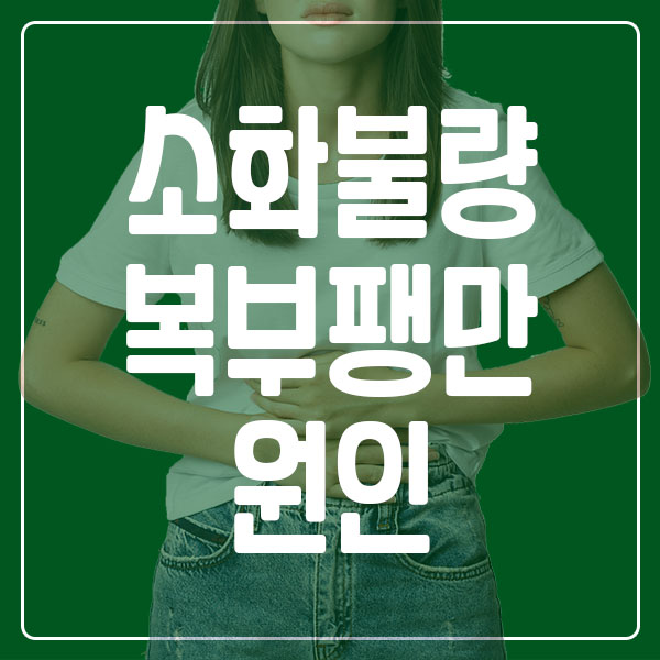 소화불량 복부팽만 원인 및 해결 방법