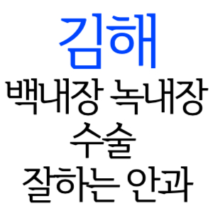 김해 백내장 녹내장 수술잘하는곳 안과 병원 추천 5곳 후기 수술 가격 비용 비교 치료 증상 좋은음식 수술 후 주의사항 알아보기