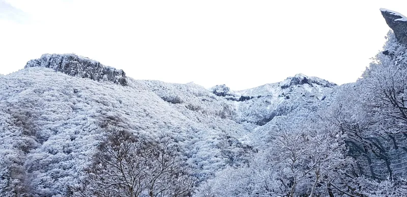 제주 한라산 설경 겨울왕국