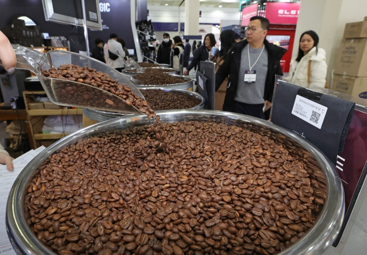 커피 시장의 양대 품종 중 하나인 로부스타 원두의 기준가는 올해 약 50% 급등했다.