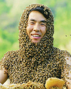  벌 꿈해몽 태몽 큰 말벌 꿈에대한 모든 정보 담아봤어요
