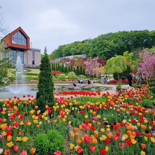 용인 자작나무숲 봄꽃축제 06