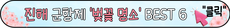 진해 군항제 로컬 맛집 카페 추천