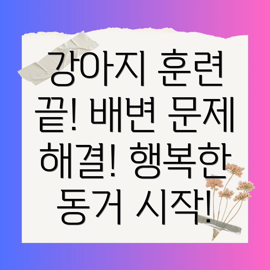 강아지 방문 훈련