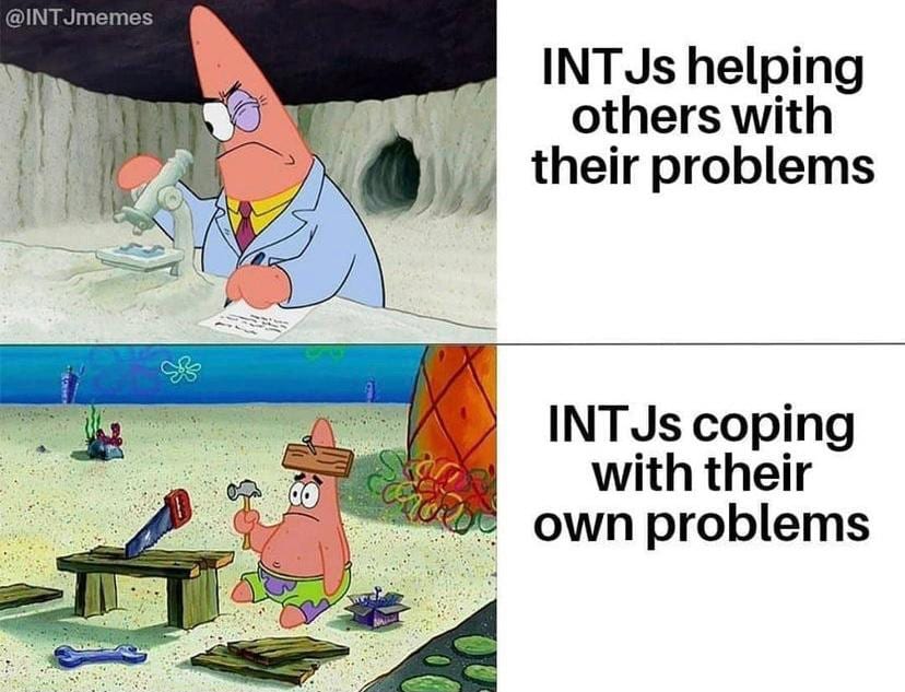 intj-밈-meme