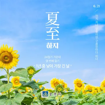 하지 날짜 24절기 망종 소서 전통음식까지_8