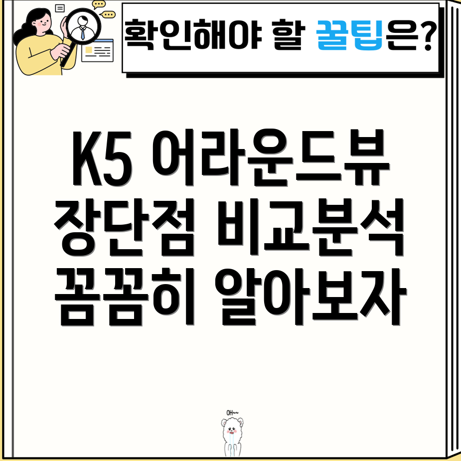 대구K5사제어라운드뷰꼼꼼비교분석장점과단점한눈에