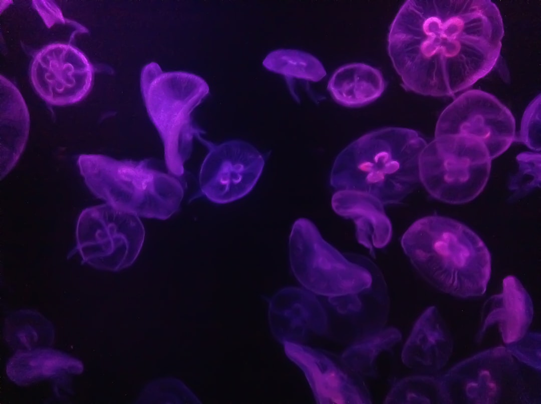 Marine creatures.
