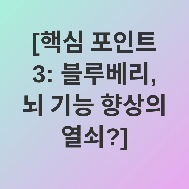블루베리 효능_3