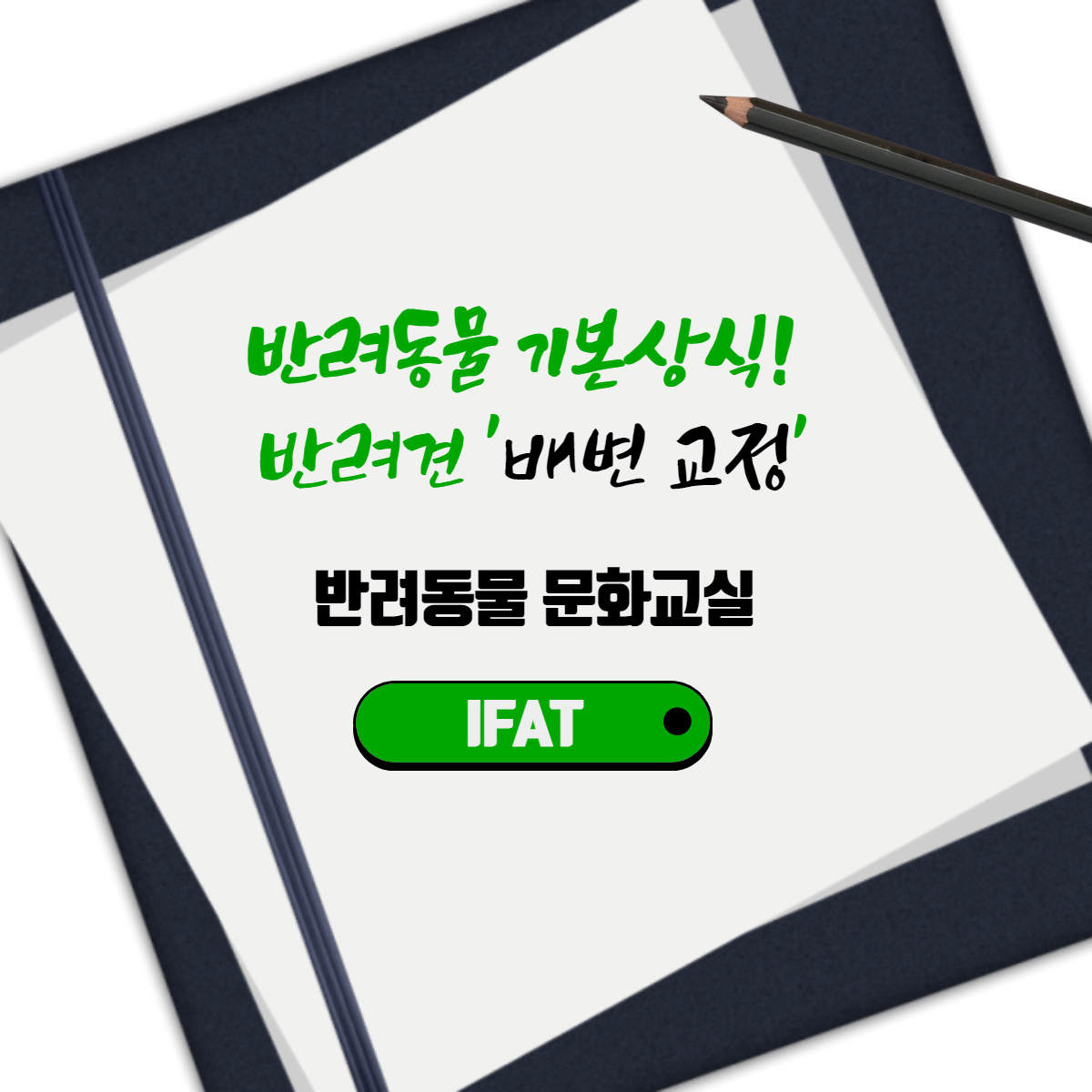 반려동물 기본상식! 반려견 '배변 교정'