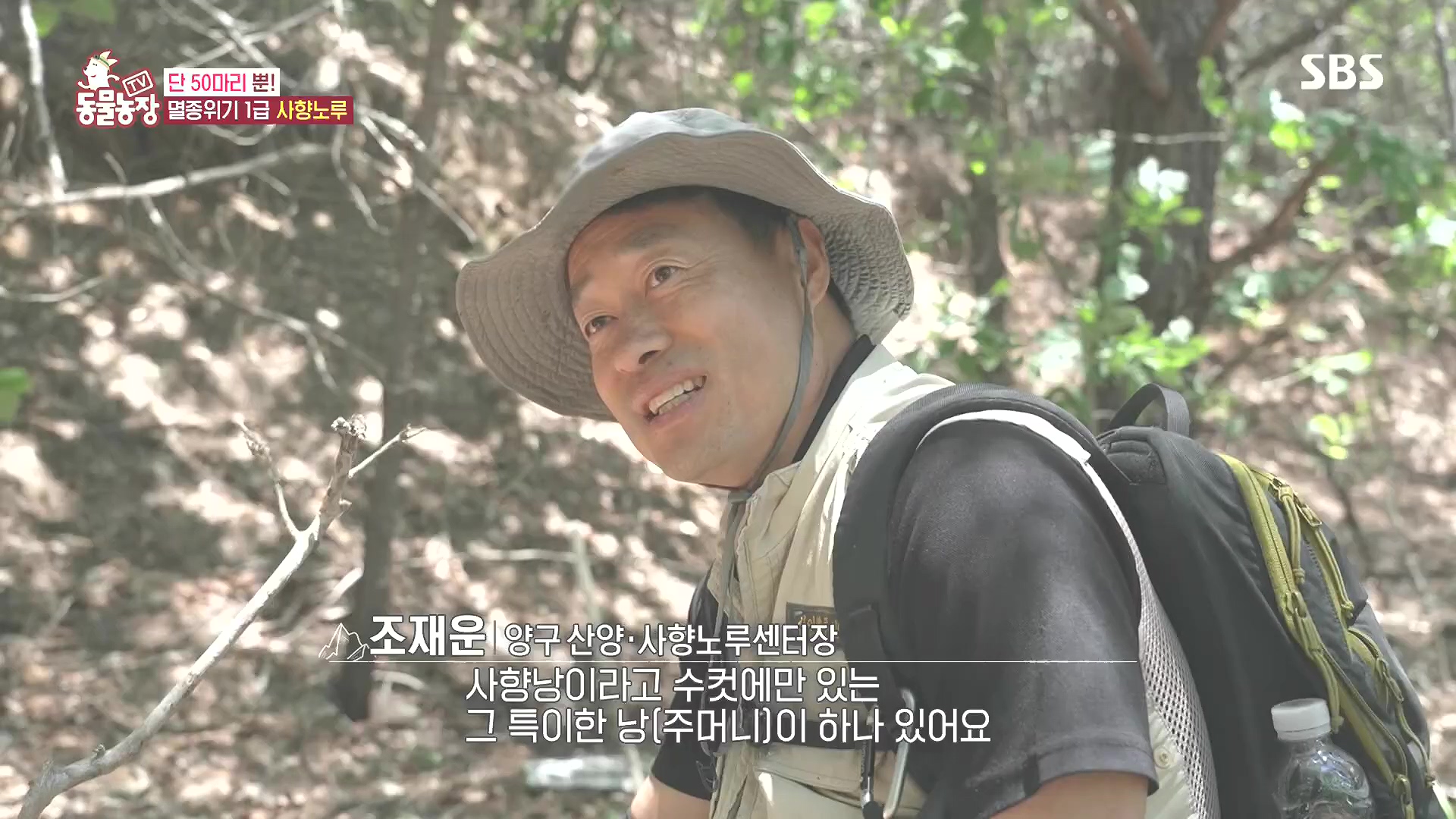 TV 동물농장.E1185.240818p.H264-F1RST.mp4_20240818_160958.681.jpg