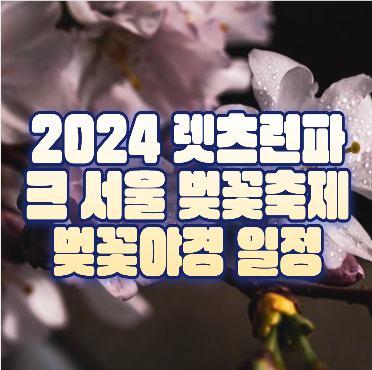 2024 렛츠런파크 서울 벚꽃축제
