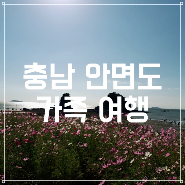  안면도 여행지 추천  펜션