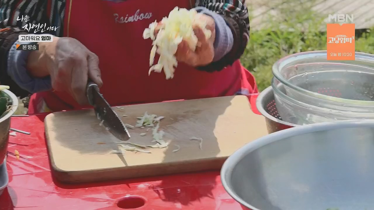 나는 자연인이다.E554.230518p.H264-F1RST.mp4_20230518_194522.840.jpg