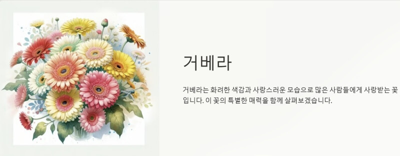 거베라 이미지