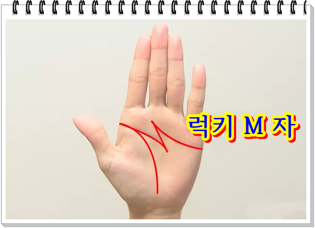  남자 손금 보는법과 여자 손금 보는법 에서 손금m자라고 불리는 손금