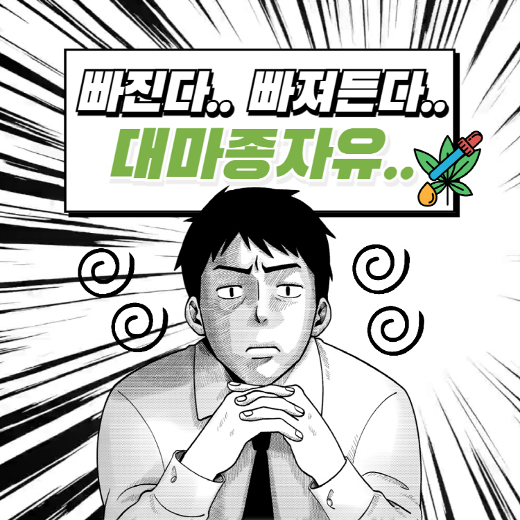 대마종자유 효능 부작용 먹는법 완벽정리(+대마종자유 가격 당뇨)