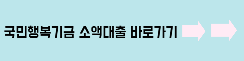 국민행복기금