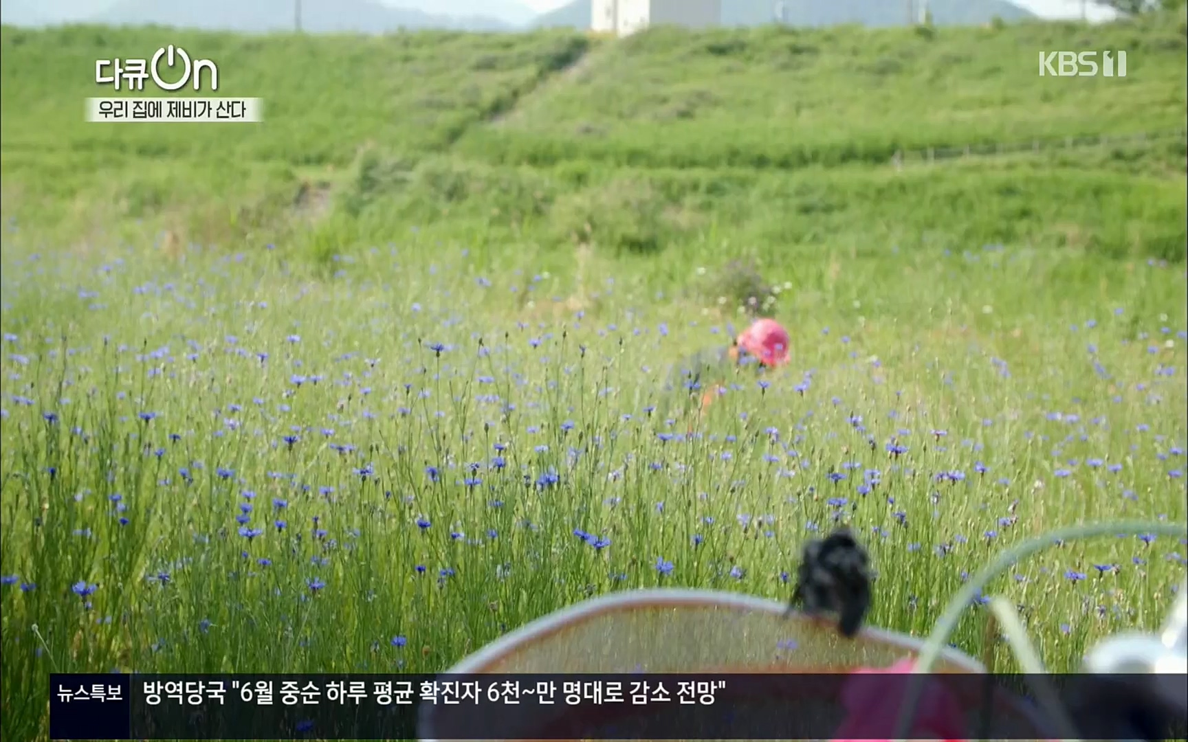 다큐 On.E143.220610p.H264-F1RST.mp4_20220613_202641.134.jpg