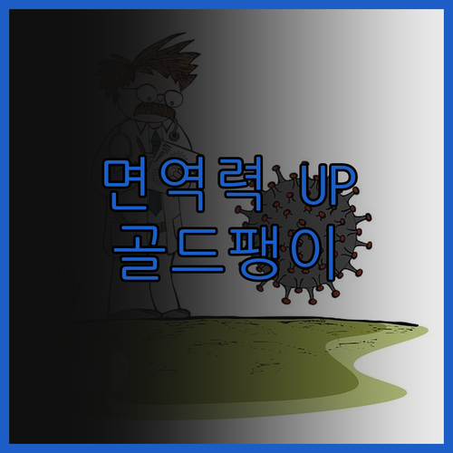 면역력 UP 골드팽이 전골의 놀라운 