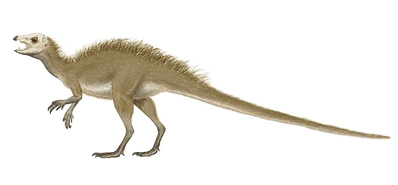 프루이타덴스(Fruitadens)&#44; Wikimedia Commons&#44; 조반목 조각류에 속하는 공룡으로 쥐라기 후기에 북아메리카에서 살았다