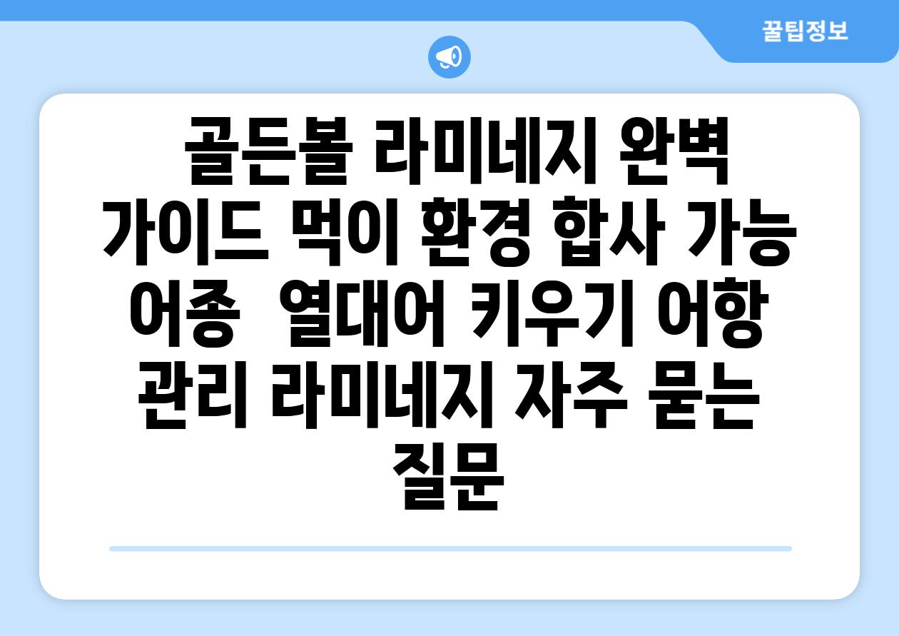 ## 골든볼 라미네지 완벽 가이드| 먹이, 환경, 합사 가능 어종 | 열대어 키우기, 어항 관리, 라미네지