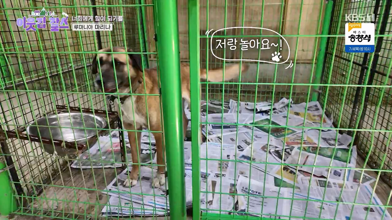 이웃집 찰스.E443.240703p-NEXT.mp4_20240703_200913.510.jpg