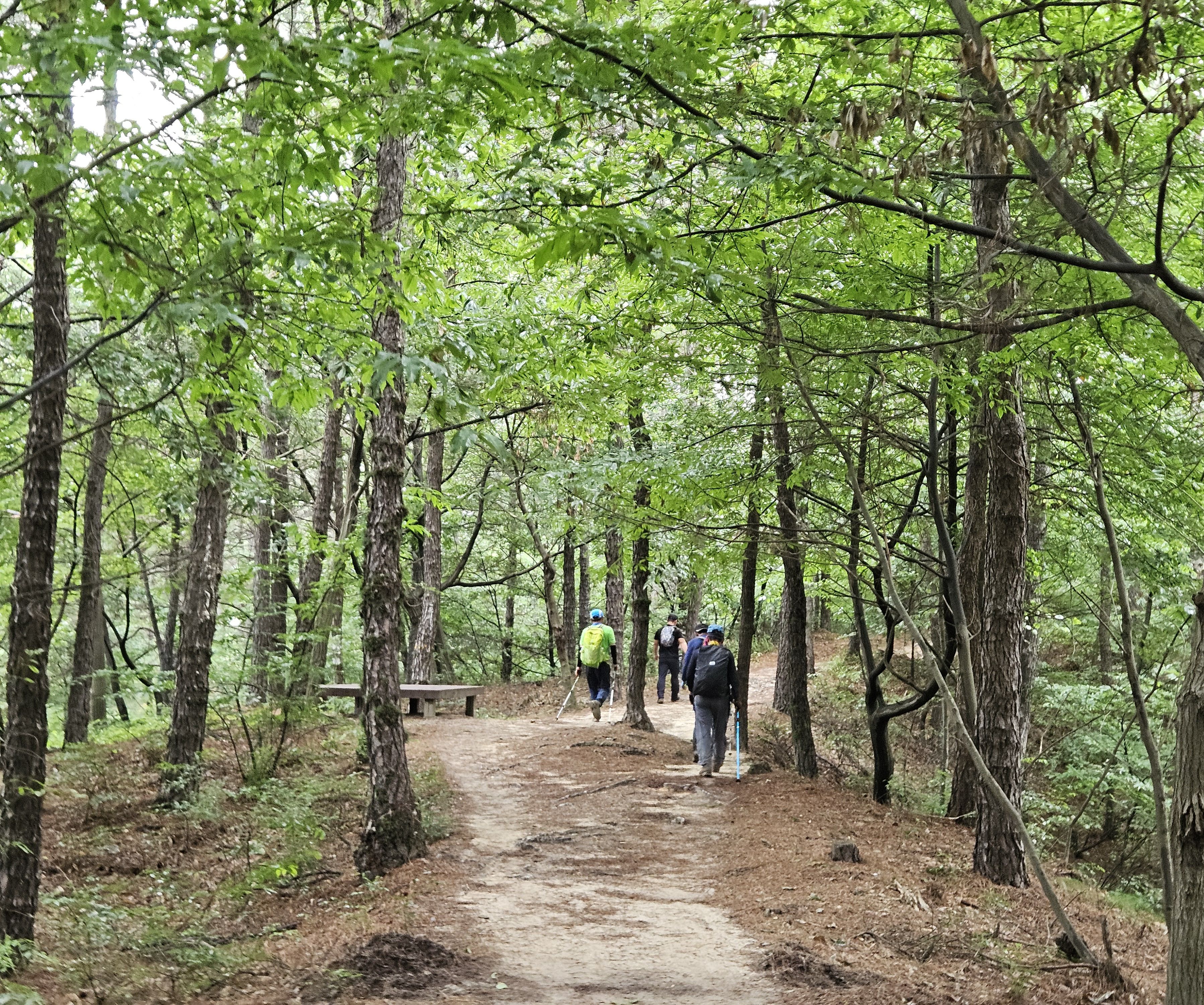 산길 이미지