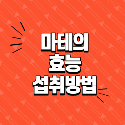  마테의 효능과 섭취방법 및 주의사항