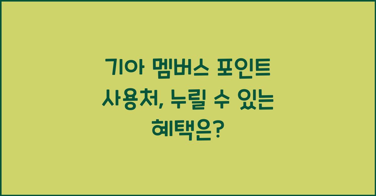 기아 멤버스 포인트 사용처