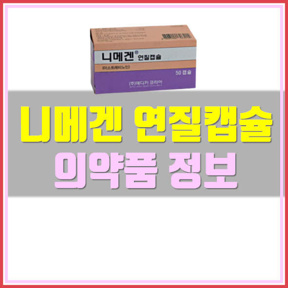  니메겐 연질캡슐 복용법