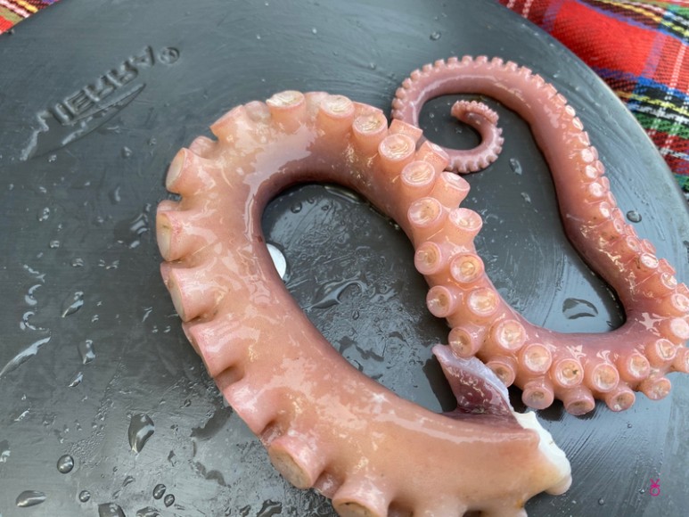 가고싶은 섬 가고싶은섬, 꼬막길과 뻘배길이 3