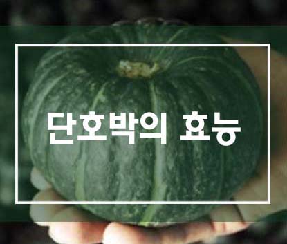  단호박의 효능