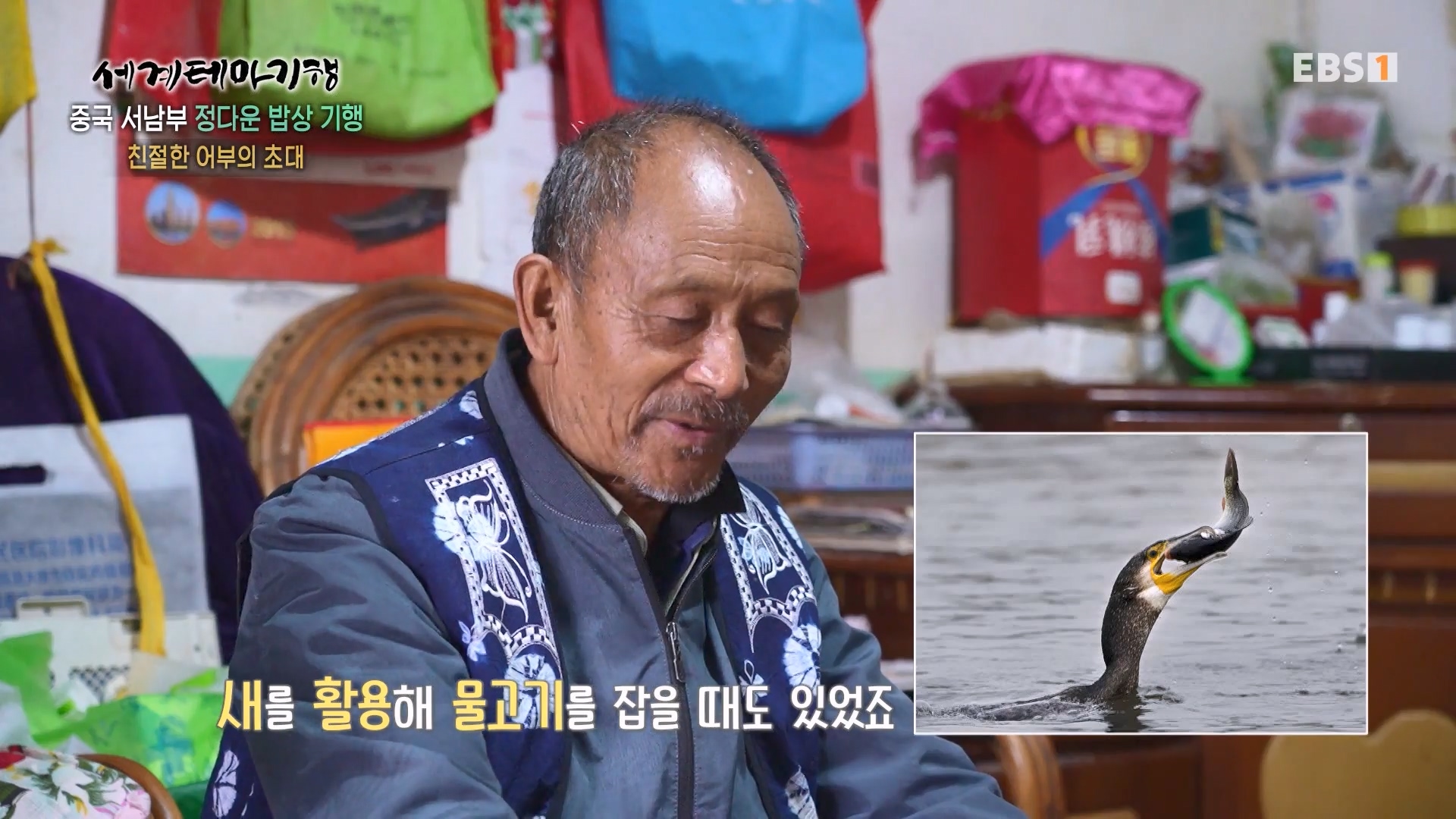 세계테마기행 231128 중국 서남부 정다운 밥상 기행 -매운맛 좀 볼까요0p.mp4_20231201_212658.322.jpg