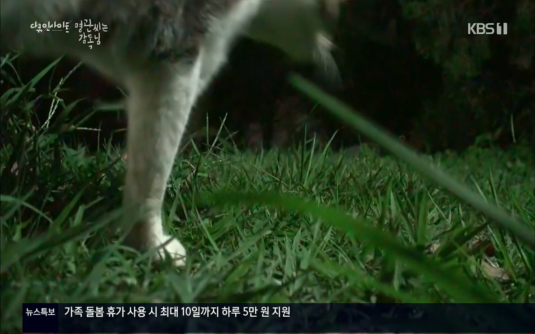 다큐 인사이트.E122.220825p.H264-F1RST.mp4_20220826_152318.899.jpg