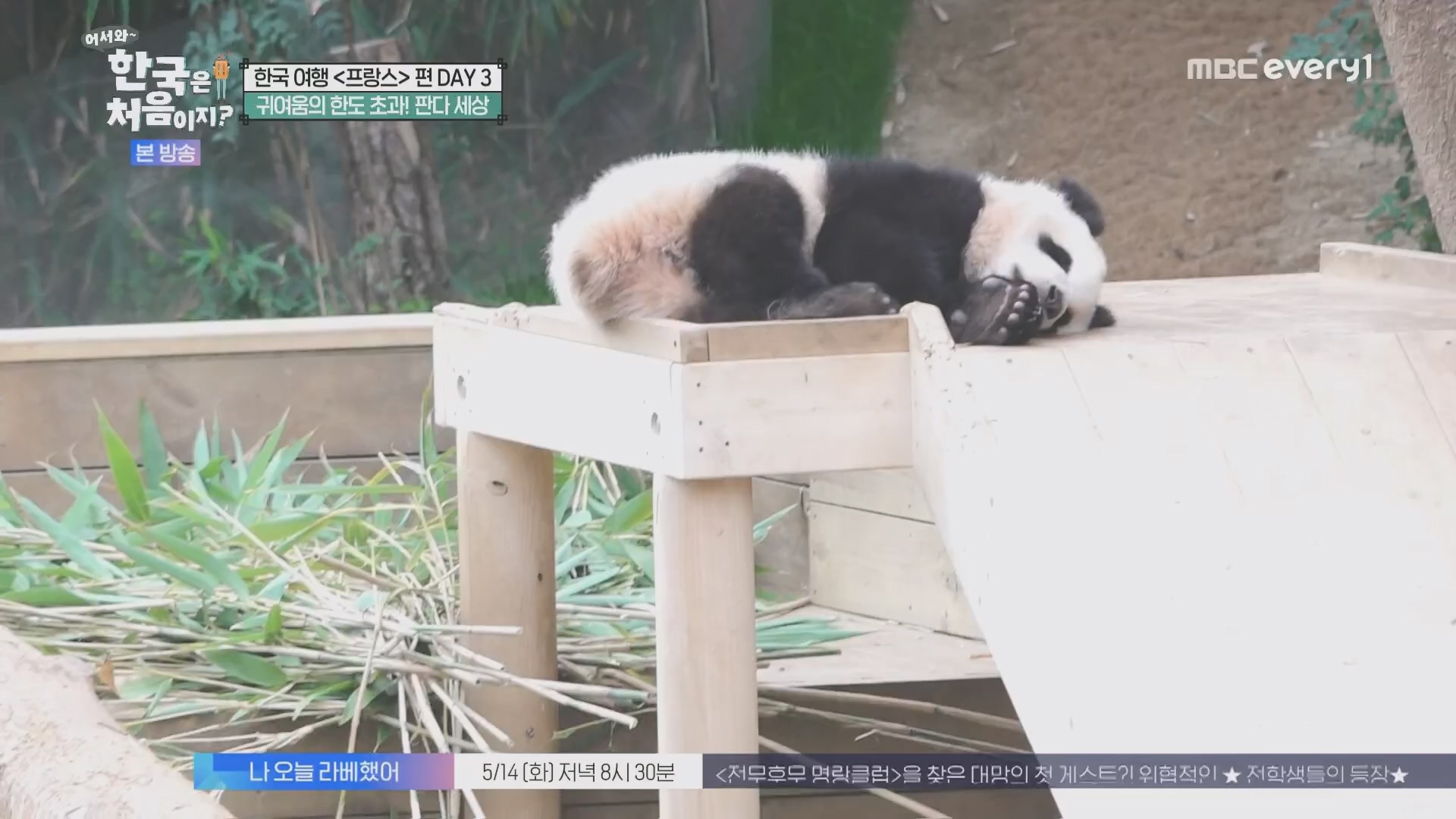 어서와~ 한국은 처음이지.E346.240509p.H264-F1RST.mp4_20240510_205728.513.jpg