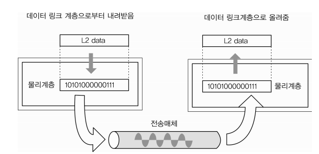 1 계층 - 물리 계층(Physical Layer)