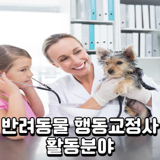 반려동물 행동 취업 반려동물 행동 반려동물 행동