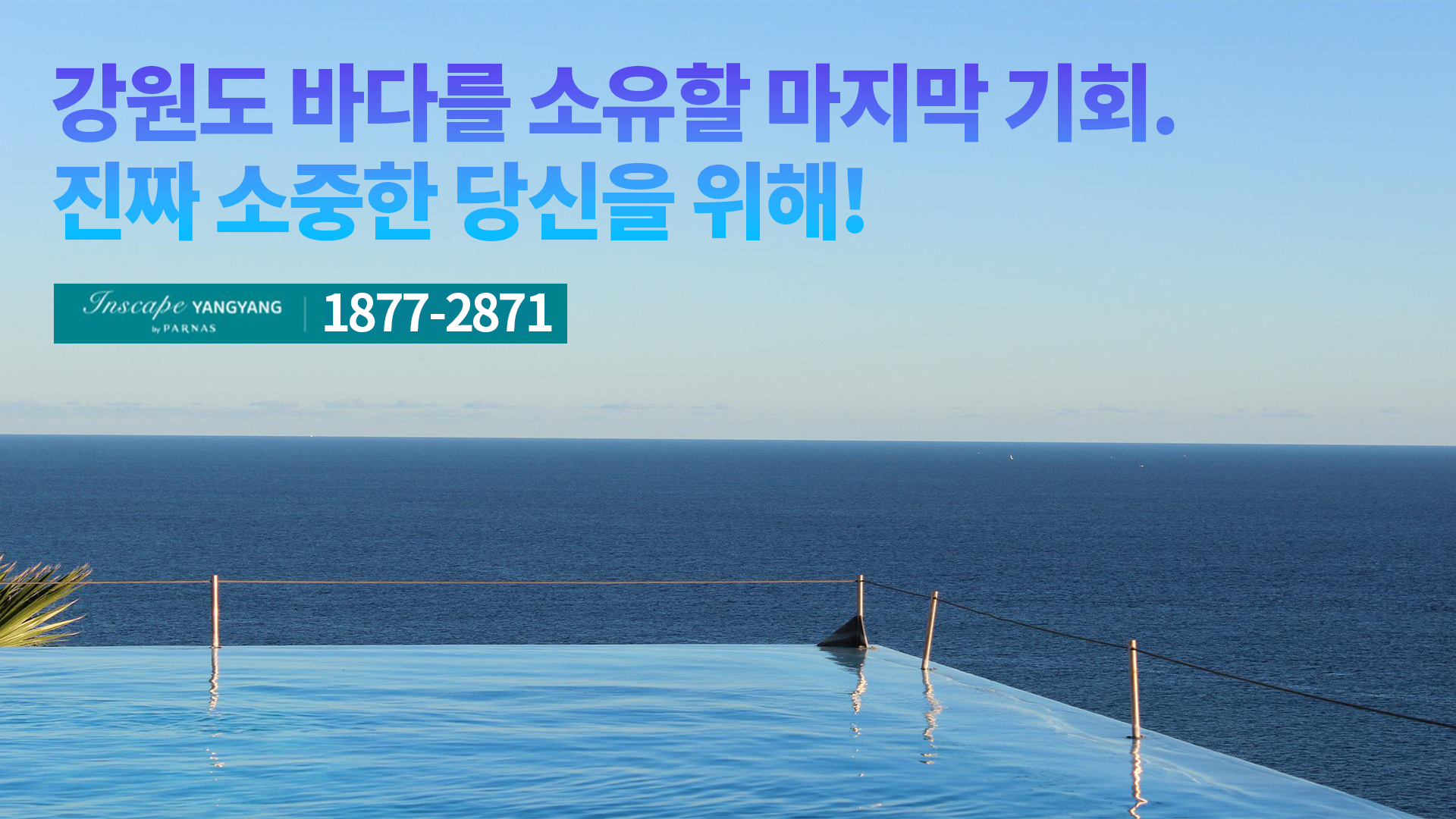  동해바다 360도 파노라마뷰를 강남에서 직접 확인하세요