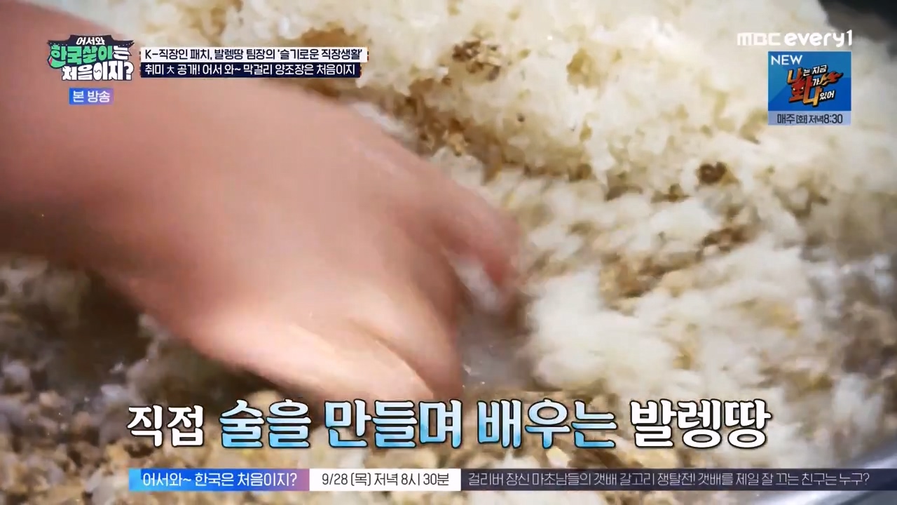 어서와 한국살이는 처음이지.E19.230926p-NEXT.mp4_20230926_205105.401.jpg