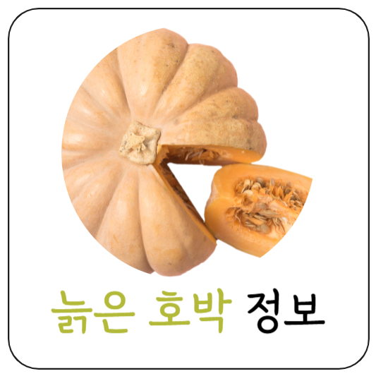 늙은호박정보